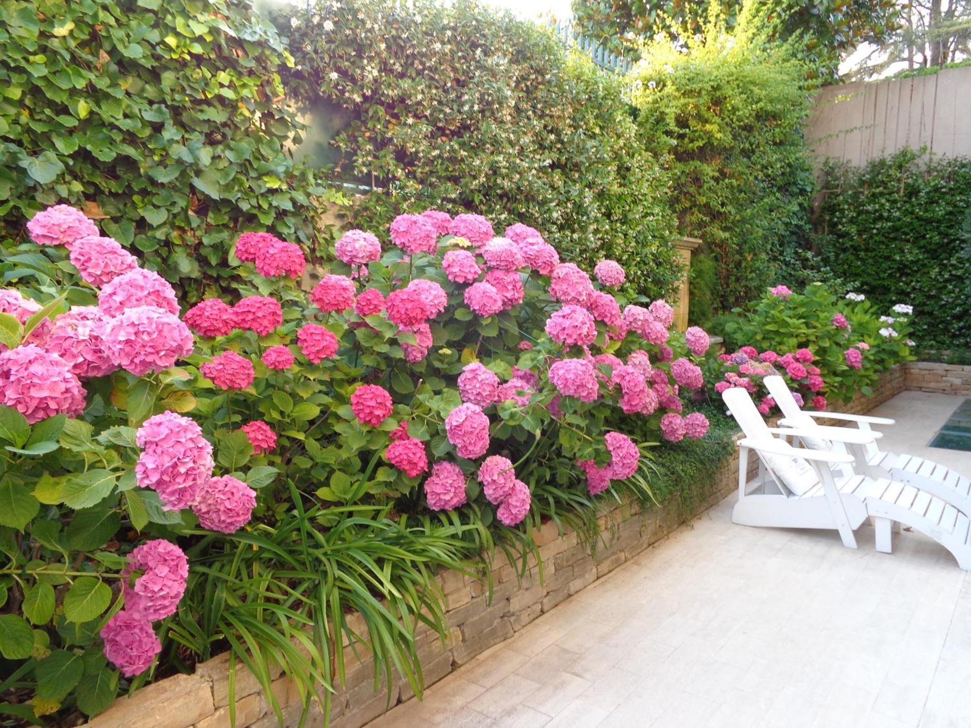B&B Villa Feline Cannes Bagian luar foto